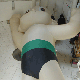 img2