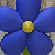 花B
