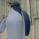 ペンギン2.8M